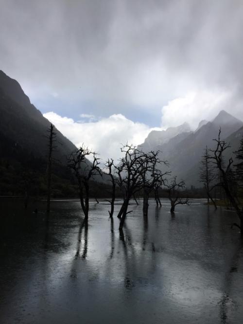片段描绘雨中的风景