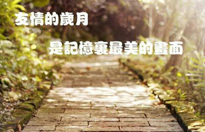 关于友谊的一句优美的话：友谊虽然优雅，但很珍贵，很遥远，至今仍被错过