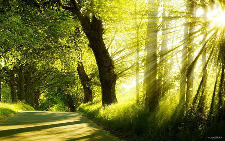 一句描述早晨的阳光