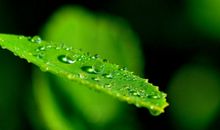 2019护士节祝福语