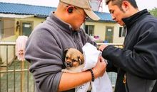 动物与天气的谚语