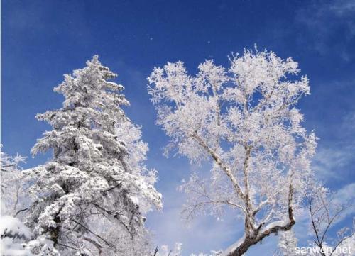 描写冬天风景的诗