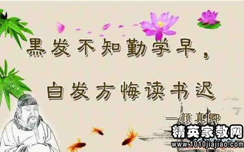 珍惜学习的名言