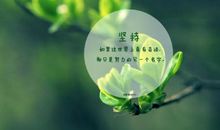 qq个性签名女生寂寞