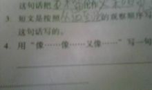 像像像像造句大全