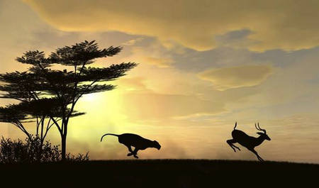 在优胜劣汰的世界中,您必须不断提高自己的价值