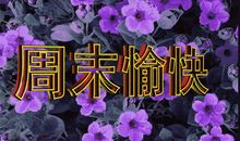 2019客户周末祝福短信