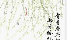 杨柳拟人句