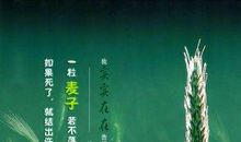 带有花草的诗句