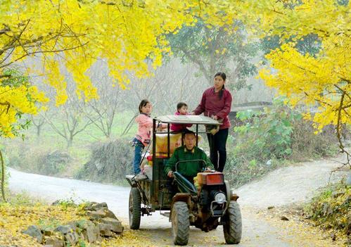 描述山楂的寓言