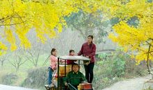 形容山楂的比喻句