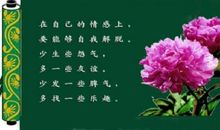 有关关爱的句子