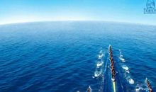 霸气点的销售团队口号