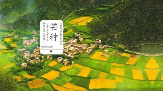 关于man种的谚语