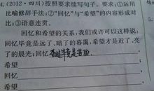 如果什么就什么造句