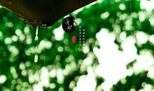 关于雨水节气谚语