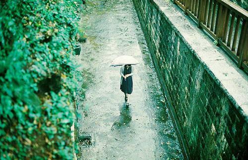 关于雨的感伤句子