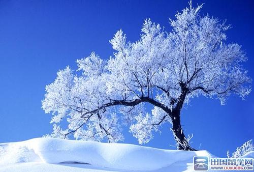 冬季客户祝福留言