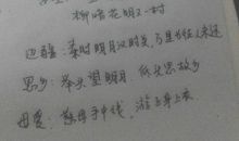 伟大的母爱句子