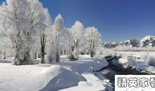 描写美丽雪景的诗句