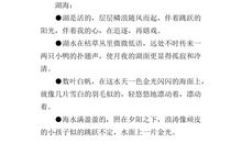 描写大海景象的词语