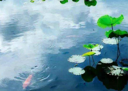 只有学习如何从急流中退缩并放任冷漠，我们才能过上舒适的生活1