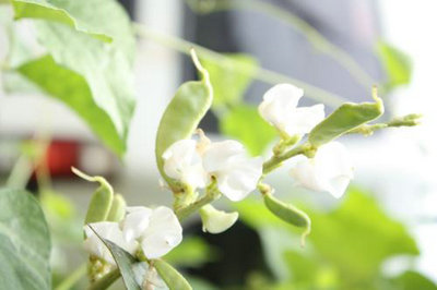 写下关于午后的阳光的美丽句子，以及写下有关午后的阳光的美丽句子1