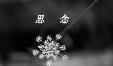 表达关于思念的句子