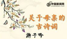 思念家人的诗句