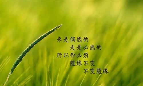 行情和鼓舞人心的短语