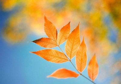 qq签名的美丽句子:太阳很温暖,让我觉得我的生命太长了