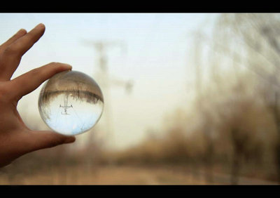 爱最美的句子[65句]