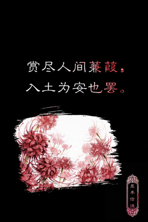 美丽的一句古风