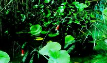 老同学友情短信