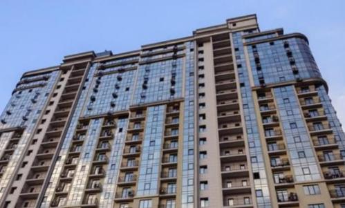 sn和蛤the竞争的寓言