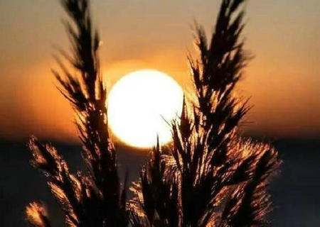 生活在所有苦难中幸存下来，成为了自己的光芒1