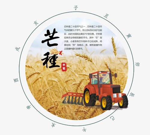 二十四节气谚语