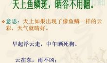 小学必背天气谚语大全