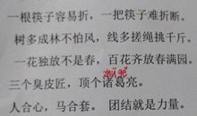 关于团结的四字谚语