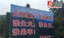 环保森林的标语