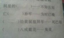 老鼠指路歇后语