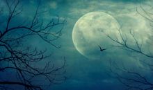 用月亮表达思念的诗句