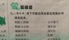 不相上下歇后语