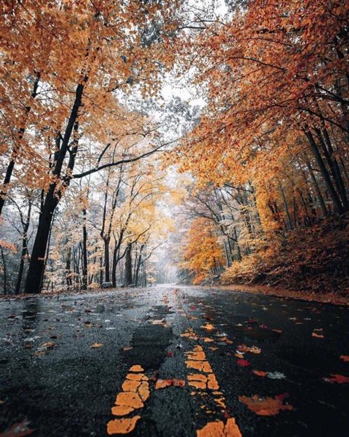 描写秋天悲伤的诗