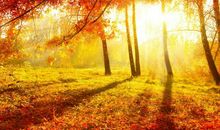 关于秋天写景的诗句