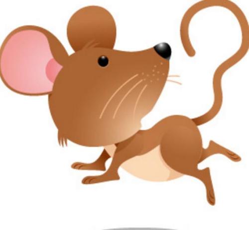 关于兔子的英语谚语