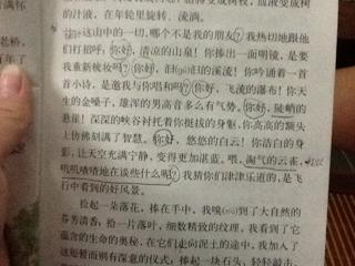 特殊的平行句子