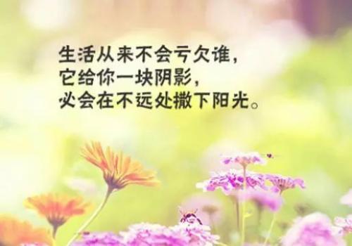 正能量美丽而鼓舞人心的句子