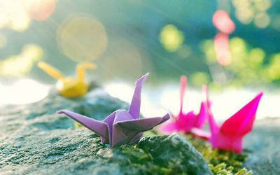 审美句子谈论情绪图片：每年，每年，我永远属于你