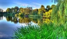 有关自然变化的谚语